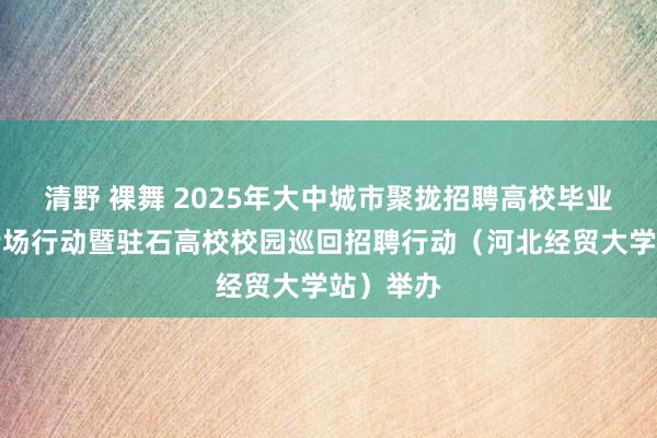 清野 裸舞 2025年大中城市聚拢招聘高校毕业生春季专场行动暨驻石高校校园巡回招聘行动（河北经贸大学站）举办