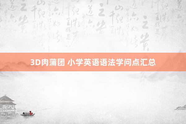 3D肉蒲团 小学英语语法学问点汇总